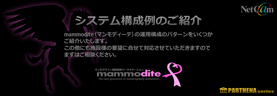 mammodite マンモディーテ